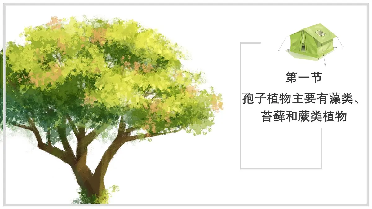 济南版生物（2024）七年级上册 2.1.1 孢子植物主要有藻类、苔藓和蕨类植物 课件第1页