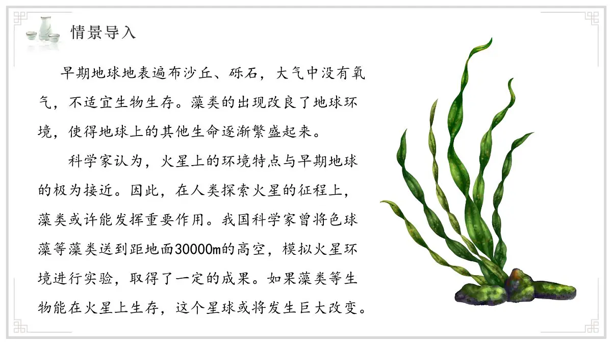 济南版生物（2024）七年级上册 2.1.1 孢子植物主要有藻类、苔藓和蕨类植物 课件第3页