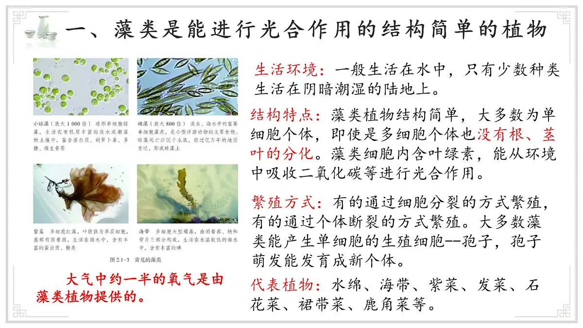济南版生物（2024）七年级上册 2.1.1 孢子植物主要有藻类、苔藓和蕨类植物 课件第6页