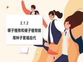 濟(jì)南版生物（2024）七年級(jí)上冊 2.1.2 種子植物可分為裸子植物和被子植物  課件