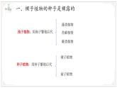 濟(jì)南版生物（2024）七年級(jí)上冊 2.1.2 種子植物可分為裸子植物和被子植物 課件