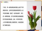 濟南版生物（2024）七年級上冊 2.3.1 病毒是沒有細胞結(jié)構(gòu)的生物 課件
