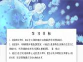 濟南版生物（2024）七年級上冊 2.3.1 病毒是沒有細胞結(jié)構(gòu)的生物-課件