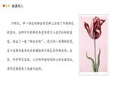 濟南版生物（2024）七年級上冊 2.3.1 病毒是沒有細胞結(jié)構(gòu)的生物-課件