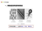 濟南版生物（2024）七年級上冊 2.3.1 病毒是沒有細胞結(jié)構(gòu)的生物-課件