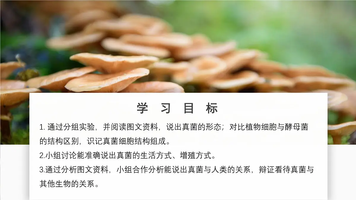 济南版生物（2024）七年级上册 2.3.3 真菌是真核生物-课件第2页