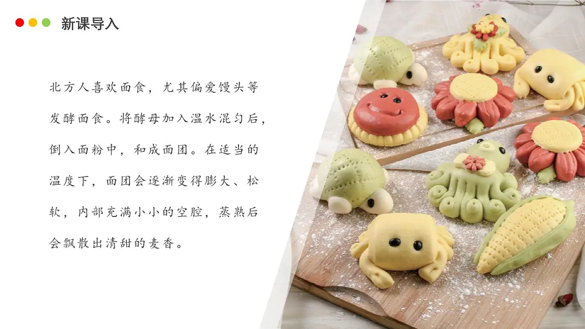 济南版生物（2024）七年级上册 2.3.3 真菌是真核生物-课件第3页