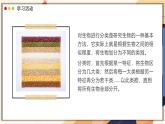 濟(jì)南版生物（2024）七年級上冊 2.4.1 依據(jù)生物的特征進(jìn)行分類 課件