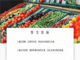 濟(jì)南版生物（2024）七年級上冊 2.4.1 依據(jù)生物的特征進(jìn)行分類-課件