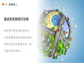 濟(jì)南版生物（2024）七年級上冊 2.4.1 依據(jù)生物的特征進(jìn)行分類-課件