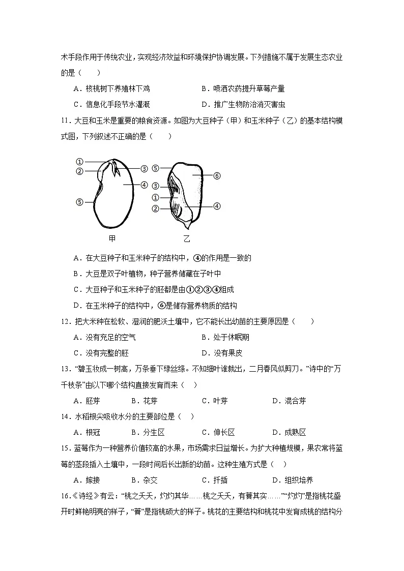 人教版七年级生物下册期末复习练习题（含答案）第3页