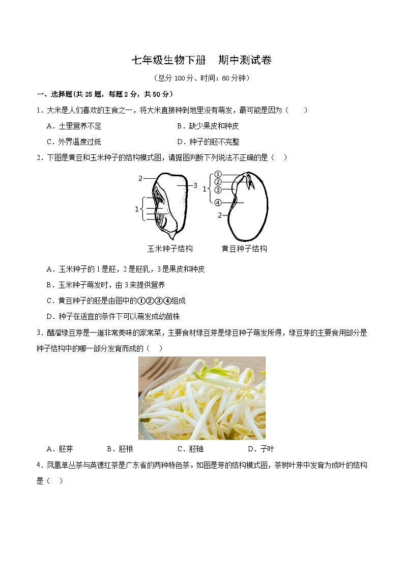 七年级人教版生物下册 期中测试卷02第1页