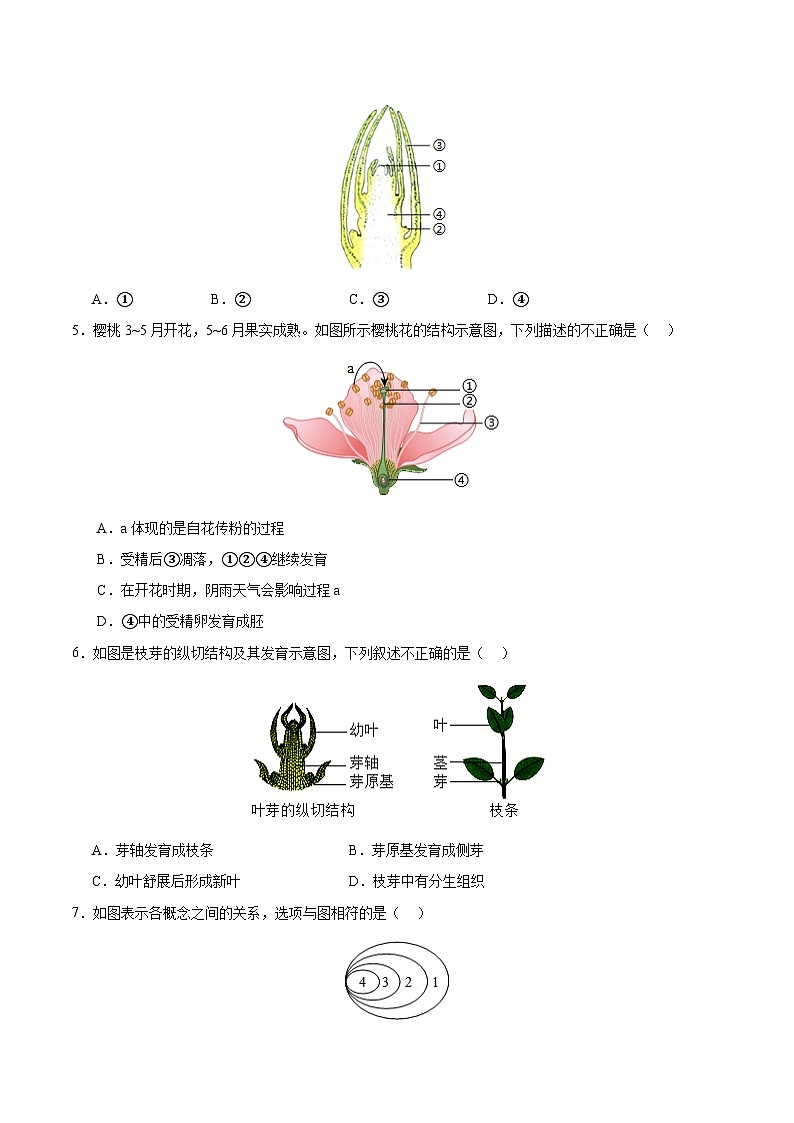 七年级人教版生物下册 期中测试卷02第2页