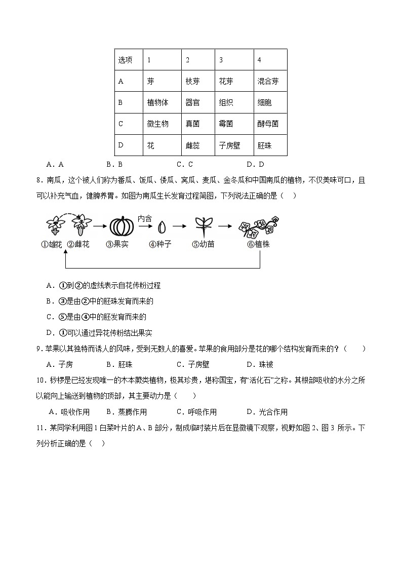 七年级人教版生物下册 期中测试卷02第3页