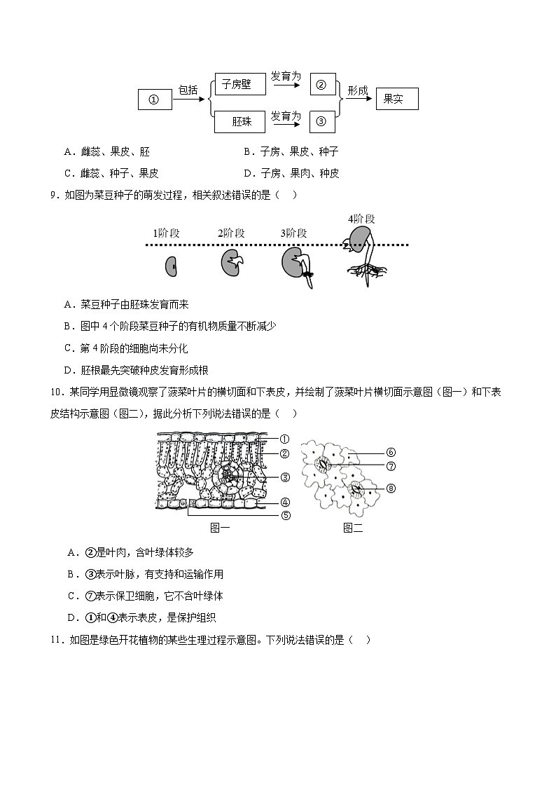 七年级人教版生物下册  期中测试卷01第3页