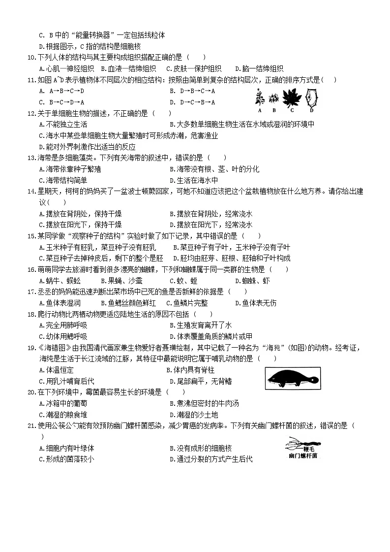 河北省唐山市第五十四中学2024-2025学年七年级上学期期末考试生物试卷第2页