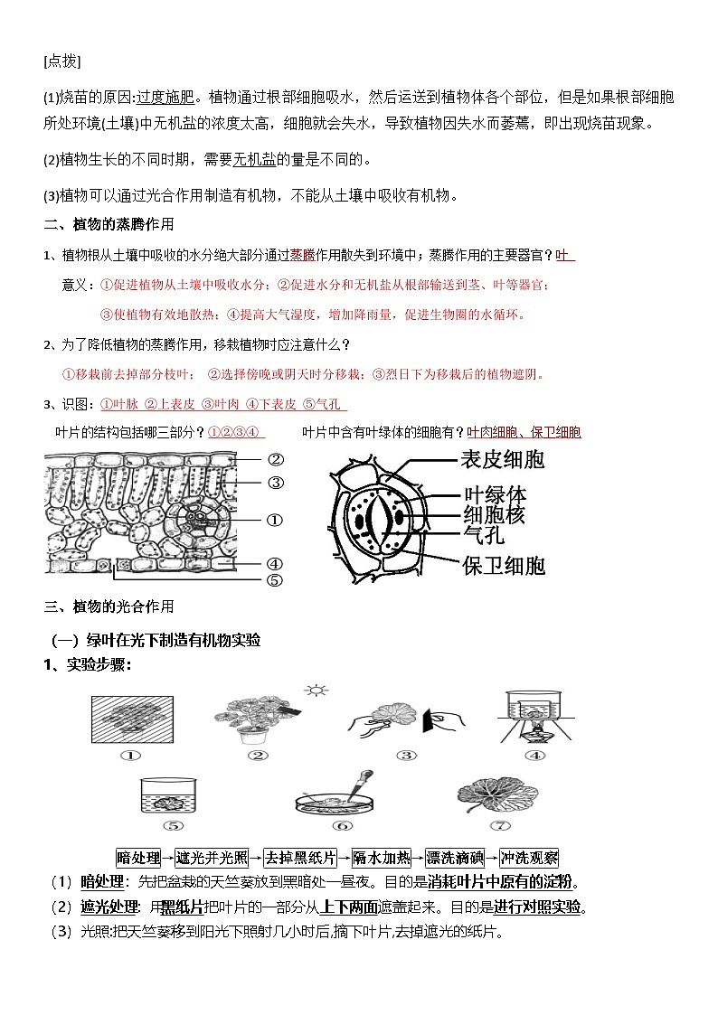 济南版（2024）七年级下册生物期末必考知识点背诵提纲 学案第2页