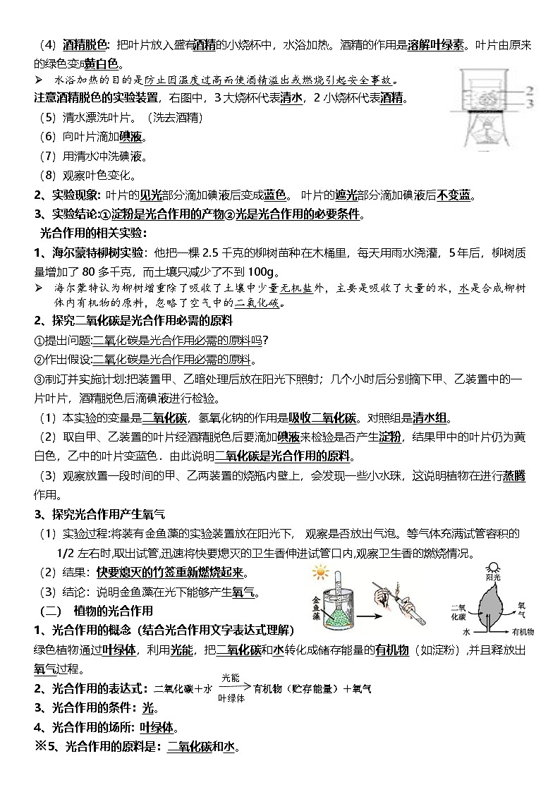 济南版（2024）七年级下册生物期末必考知识点背诵提纲 学案第3页