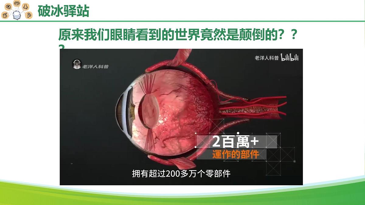 八年级生物秋季开学第一课 课件（人教版2024）第4页