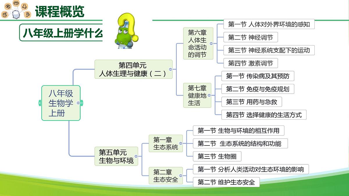 八年级生物秋季开学第一课 课件（人教版2024）第6页