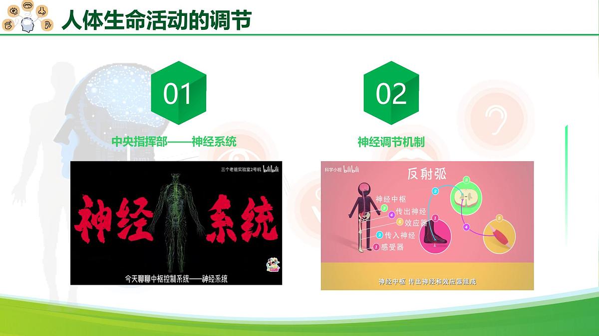 八年级生物秋季开学第一课 课件（人教版2024）第7页