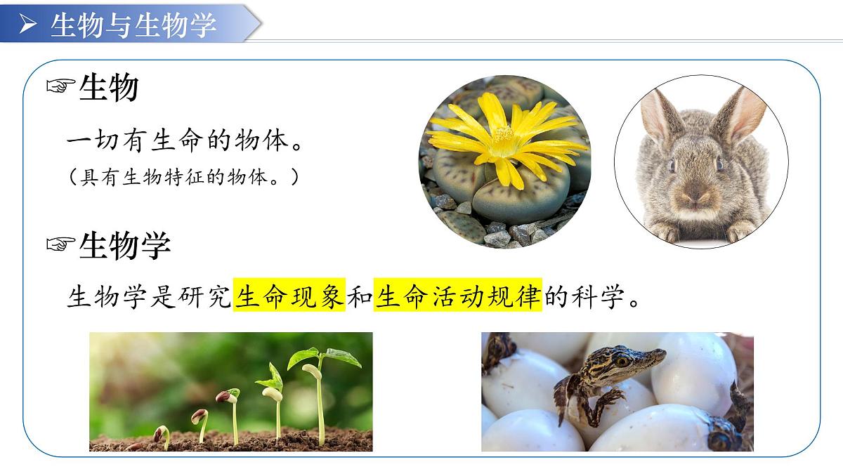 七年级生物秋季开学第一课 课件（人教版2024）第4页