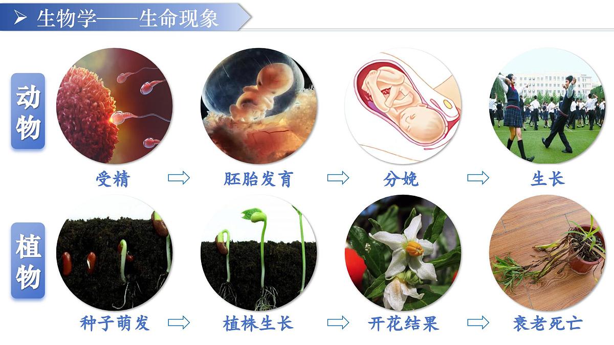 七年级生物秋季开学第一课 课件（人教版2024）第5页