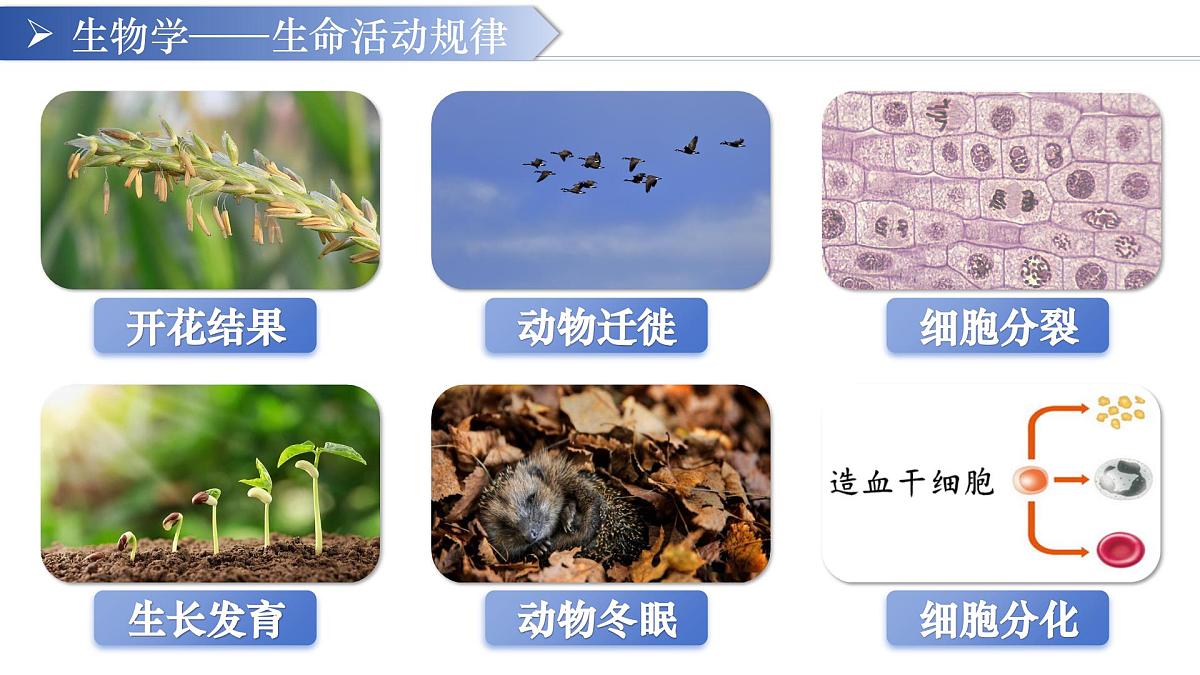 七年级生物秋季开学第一课 课件（人教版2024）第6页
