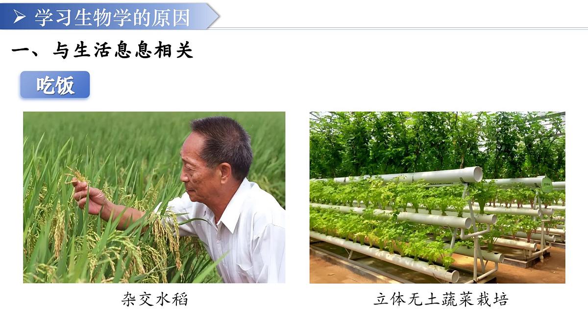 七年级生物秋季开学第一课 课件（人教版2024）第8页