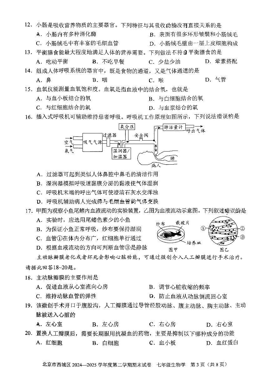 2025北京西城初一（下）期末真题生物试卷第3页