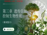 第四單元第三章 遺傳信息控制生物性狀 章末復(fù)習課件 生物濟南版（2024）七年級下冊