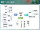 第四單元第三章 遺傳信息控制生物性狀 章末復(fù)習課件 生物濟南版（2024）七年級下冊