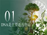 第四單元第三章 遺傳信息控制生物性狀 章末復(fù)習課件 生物濟南版（2024）七年級下冊