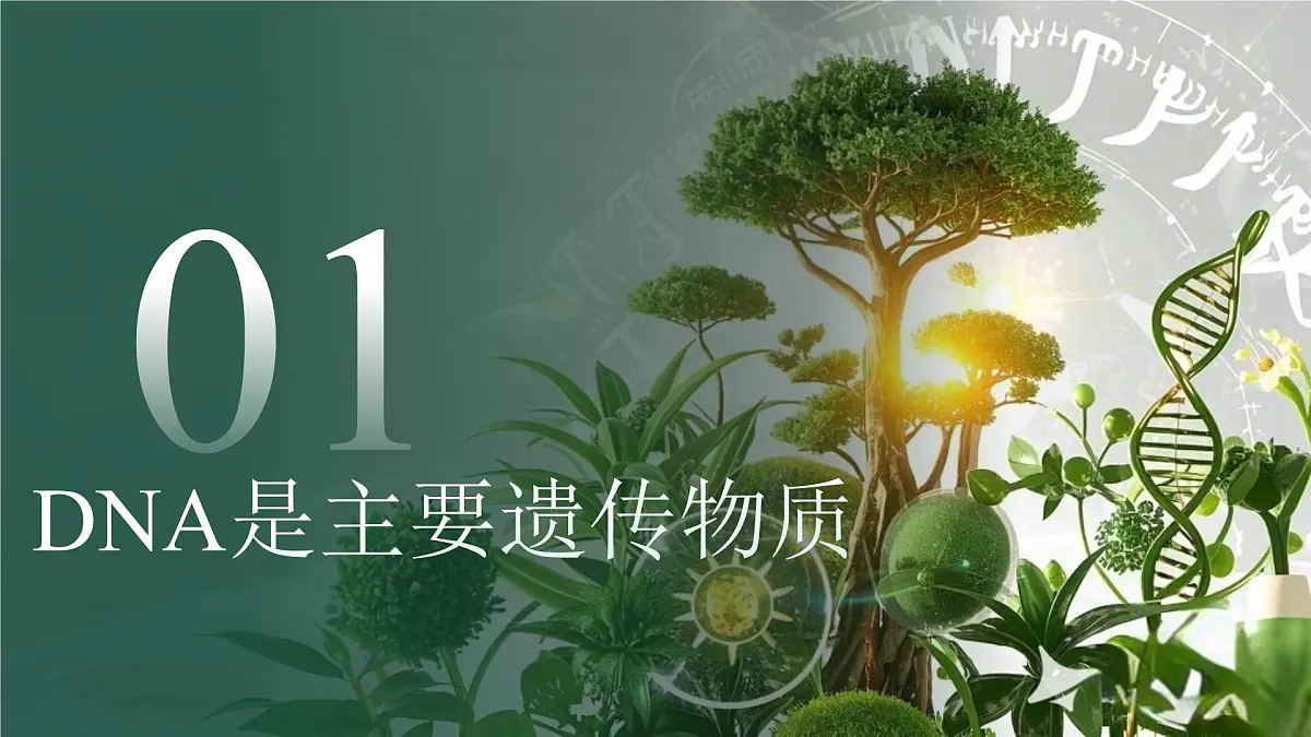 第四单元第三章 遗传信息控制生物性状 章末复习课件 生物济南版（2024）七年级下册第3页