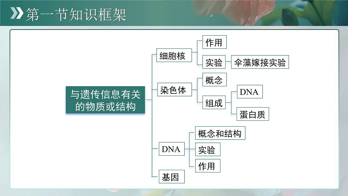 第四单元第三章 遗传信息控制生物性状 章末复习课件 生物济南版（2024）七年级下册第4页