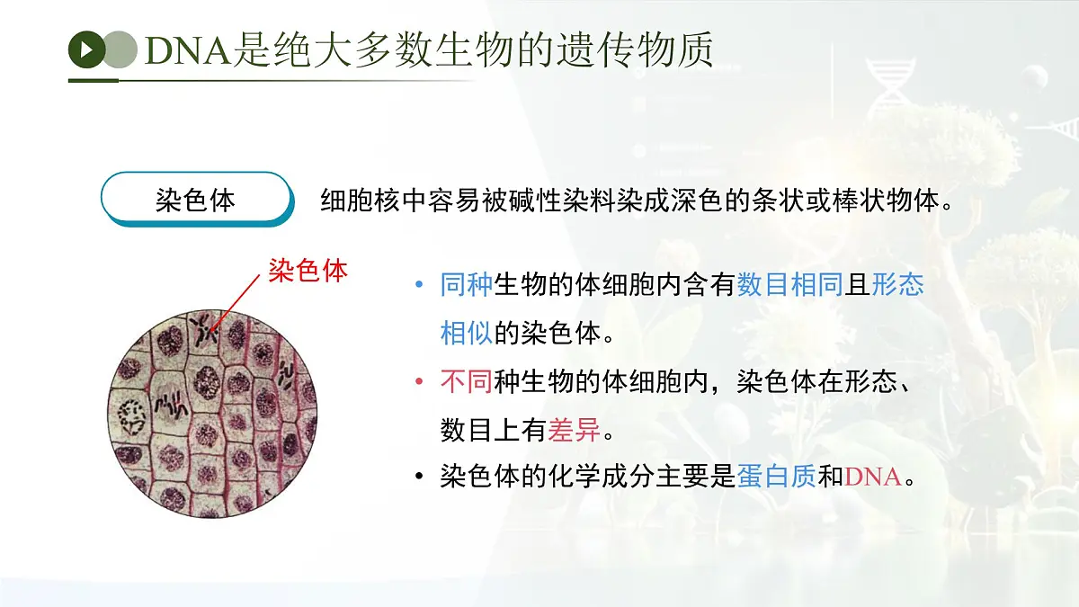 第四单元第三章 遗传信息控制生物性状 章末复习课件 生物济南版（2024）七年级下册第7页