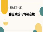 初中  生物  冀少版（2024）  七年級(jí)下冊(cè)3.3 呼吸系統(tǒng)與氣體交換 復(fù)習(xí)課件