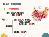 初中  生物  冀少版（2024）  七年級(jí)下冊(cè)3.3 呼吸系統(tǒng)與氣體交換 復(fù)習(xí)課件