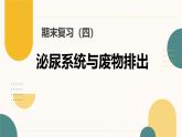 初中  生物  冀少版（2024）  七年級下冊3.4 泌尿系統(tǒng)與廢物排出 復(fù)習(xí)課件