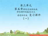 初中  生物  冀少版（2024）  七年級(jí)下冊(cè)3.5 人體生命活動(dòng)的調(diào)節(jié) 復(fù)習(xí)課件（一）