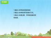 初中  生物  冀少版（2024）  七年級(jí)下冊(cè)3.5 人體生命活動(dòng)的調(diào)節(jié) 復(fù)習(xí)課件（一）