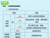 初中  生物  冀少版（2024）  七年級(jí)下冊(cè)3.5 人體生命活動(dòng)的調(diào)節(jié) 復(fù)習(xí)課件（一）
