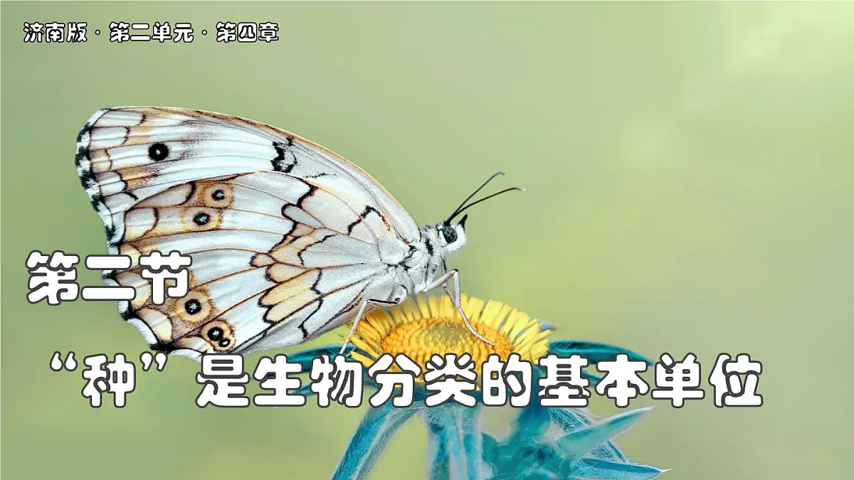 济南版生物（2024）七年级上册 2.4.2 “种“是生物分类的基本单位-课件第1页