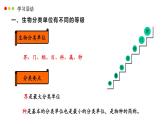 濟南版生物（2024）七年級上冊 2.4.2 “種“是生物分類的基本單位-課件