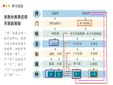 濟南版生物（2024）七年級上冊 2.4.2 “種“是生物分類的基本單位-課件