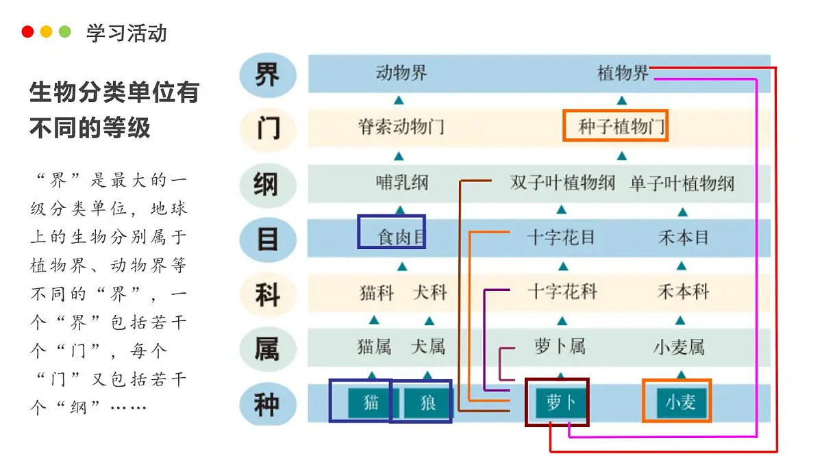 济南版生物（2024）七年级上册 2.4.2 “种“是生物分类的基本单位-课件第5页
