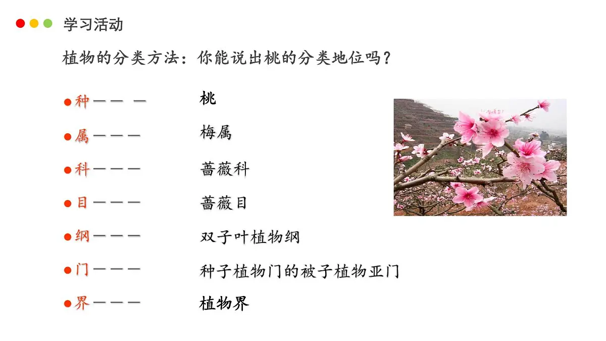 济南版生物（2024）七年级上册 2.4.2 “种“是生物分类的基本单位-课件第6页