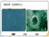 六年級生物秋季開學(xué)第一課 課件（魯科版五四學(xué)制2024）