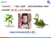 【新教材核心素養(yǎng)】蘇科版生物八年級(jí)上冊(cè)6.13.1《飲食與營(yíng)養(yǎng)》第1課時(shí)（教學(xué)課件+教學(xué)設(shè)計(jì)）