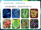 【新教材核心素養(yǎng)】北師大版生物八年級上冊5.12.1《微生物的特點和主要類型》第1課時（教學課件+教學設(shè)計）